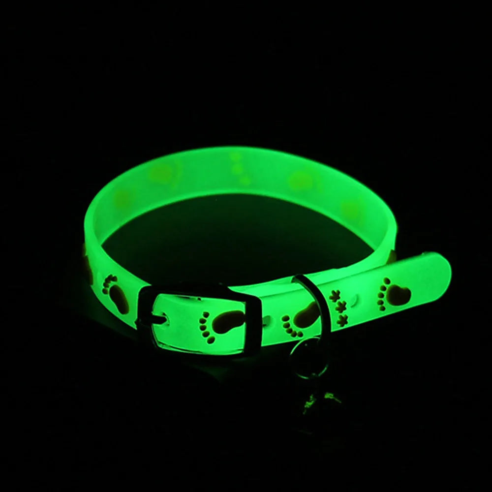 Leuchtendes Halsband
