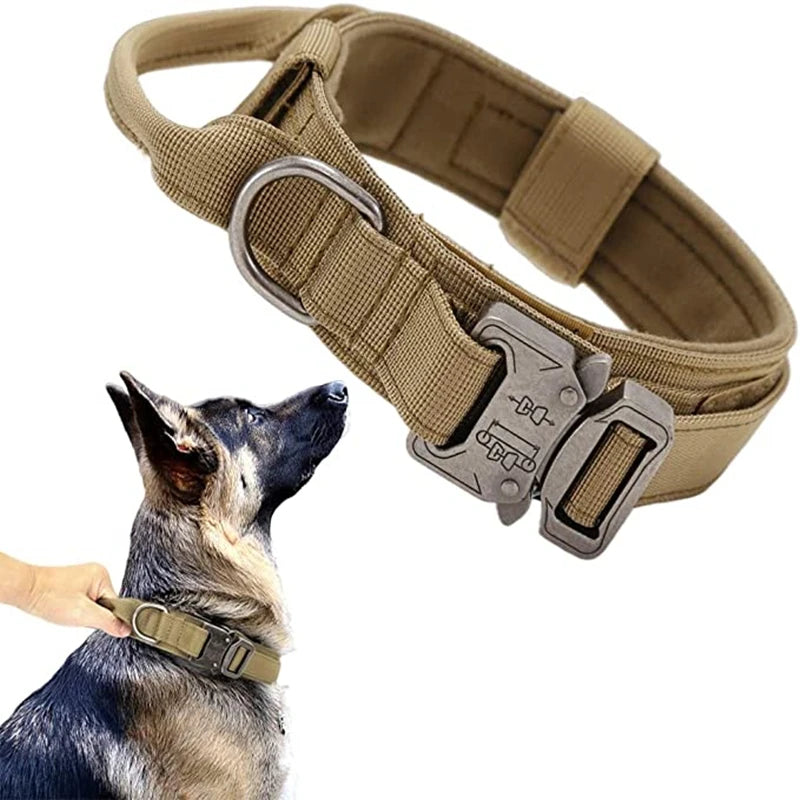 Taktisches Halsband